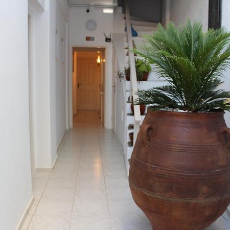Carolina Apartments Crete Agia Pelagia Dış mekan fotoğraf