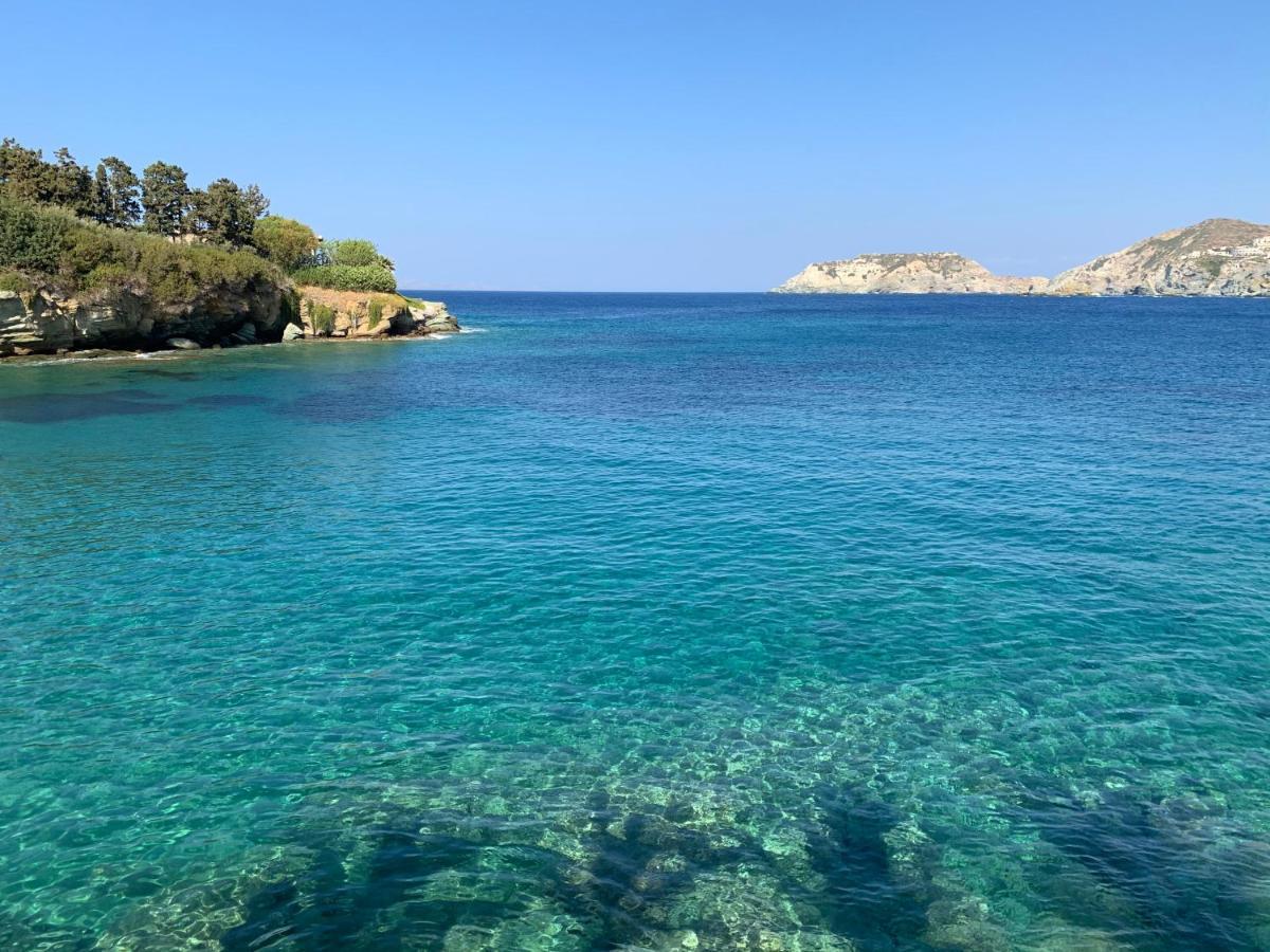 Carolina Apartments Crete Agia Pelagia Dış mekan fotoğraf