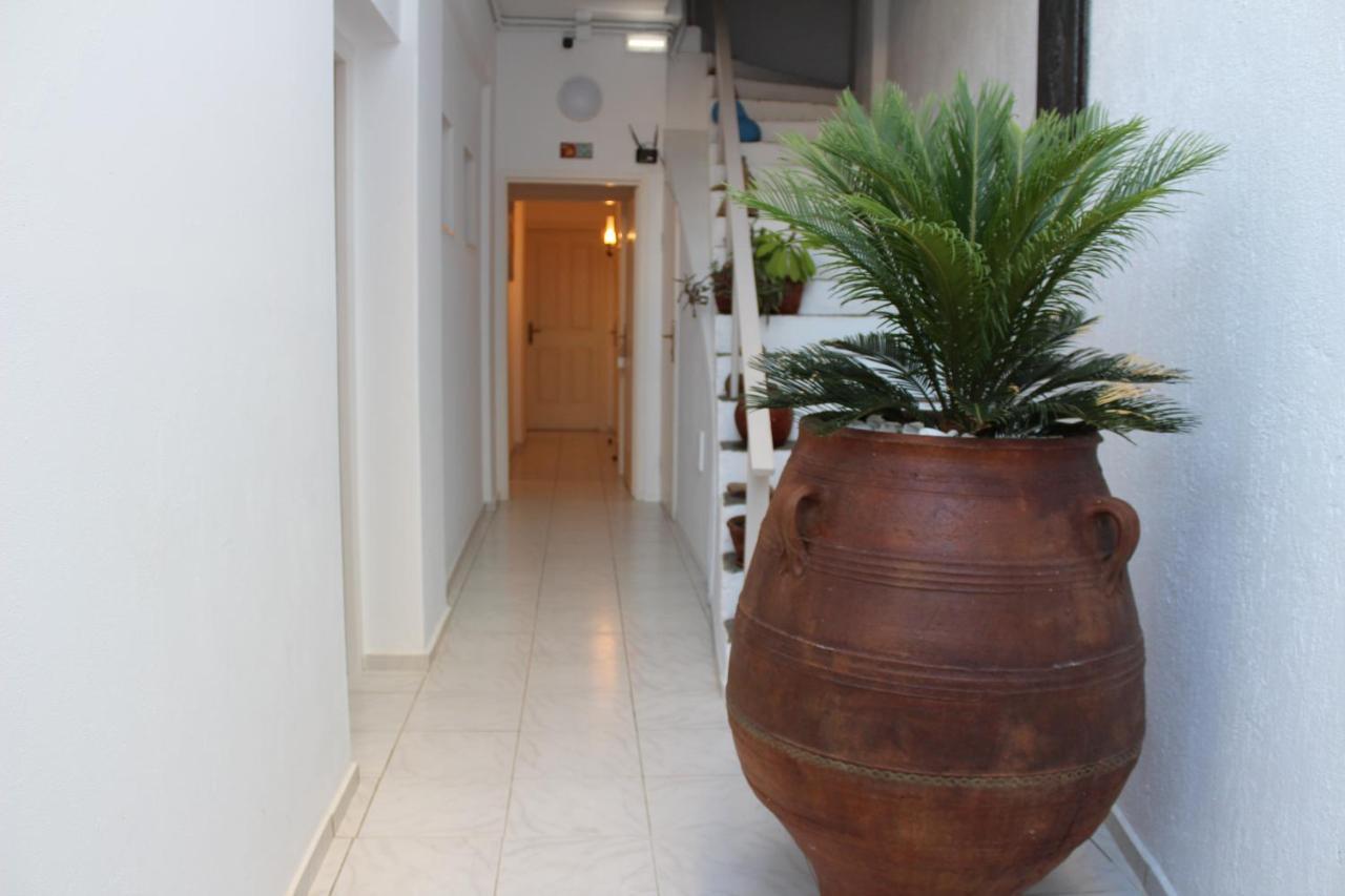 Carolina Apartments Crete Agia Pelagia Dış mekan fotoğraf